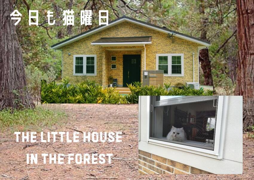 「白い窓枠の内側で」...