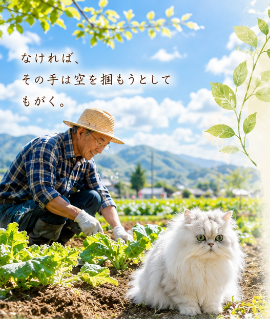 チンチラという生き物は、明日の...