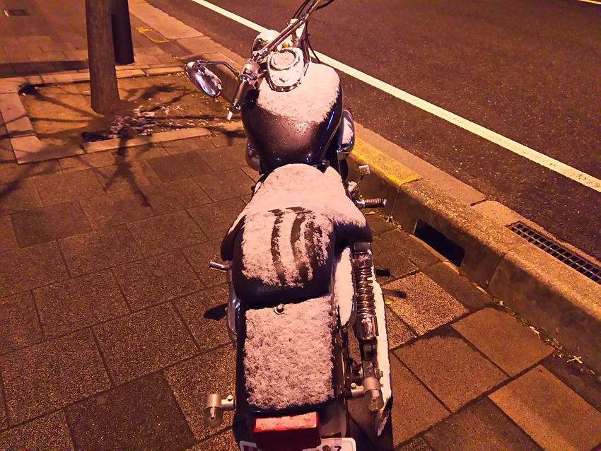 昨夜は神戸も雪！