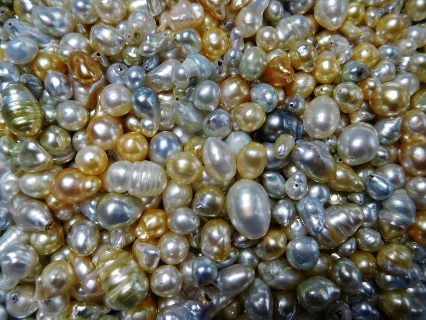南洋天然ケシ（芥子）真珠
