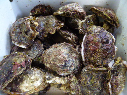 角打ちの優!御手洗酒店❗...