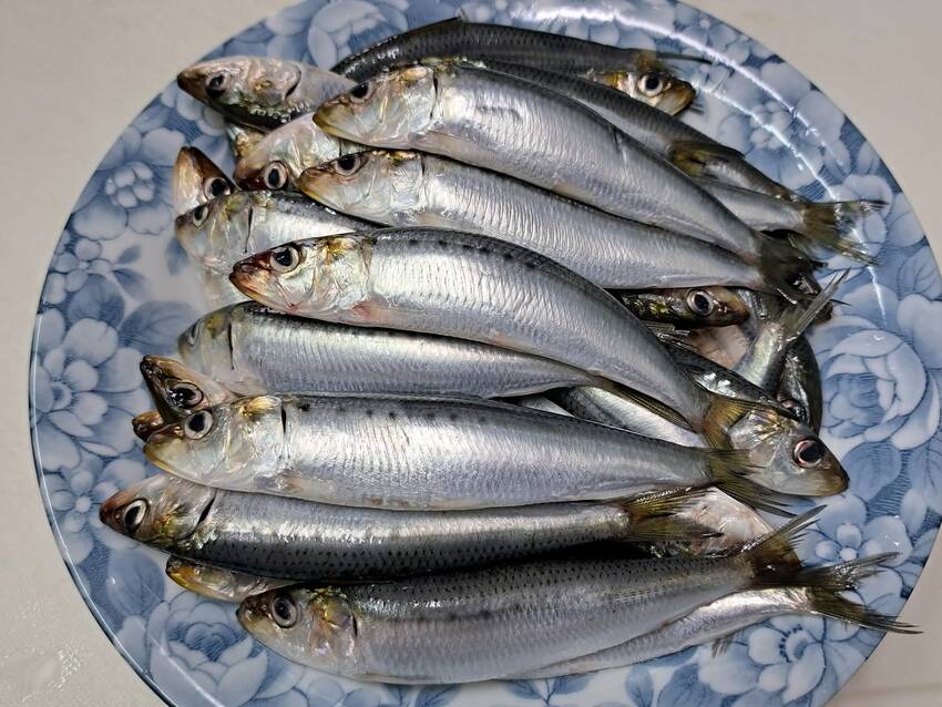 福島の銘酒 「大七」🍶