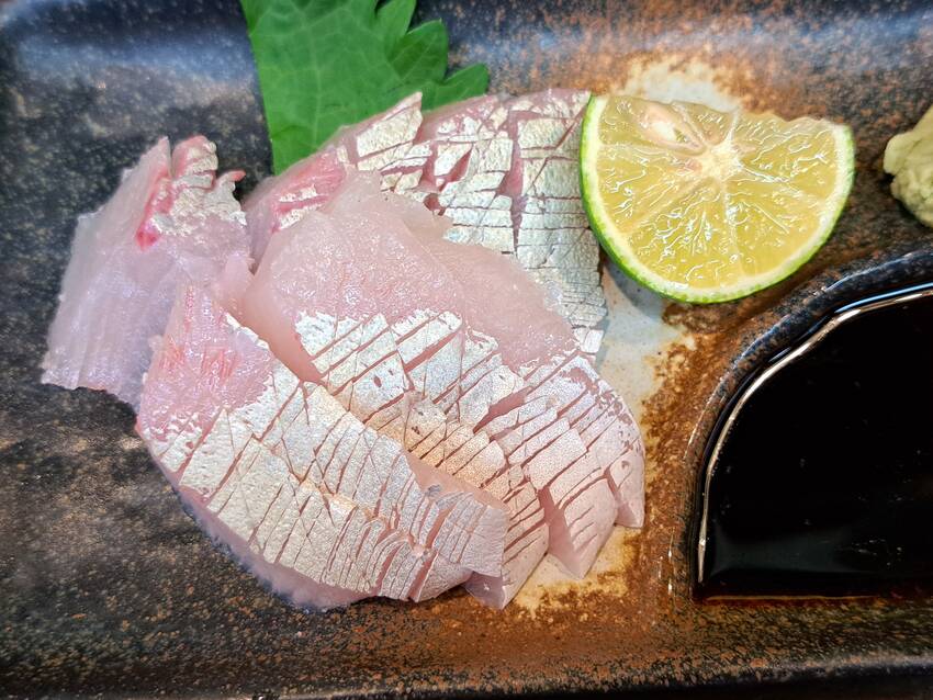 脂がのり旨い😋