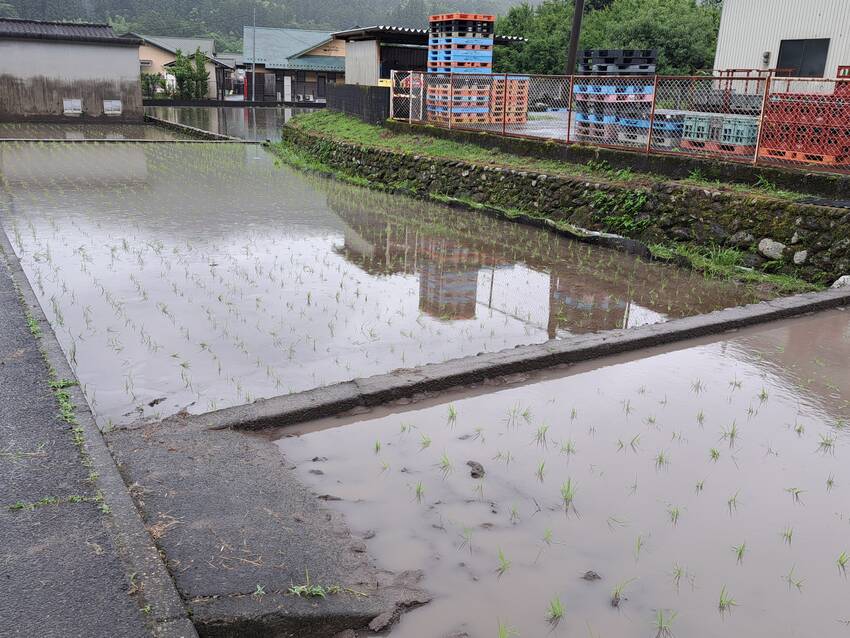 大分の酒蔵訪問⑦「井上酒造」...