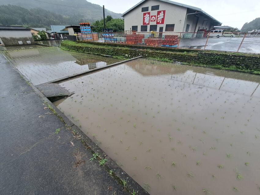 大分の酒蔵訪問⑦「井上酒造」...