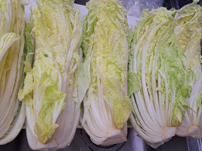 白菜が高い!四分の一で200円...