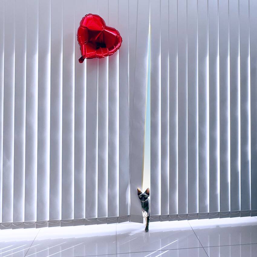 カレンダー写真