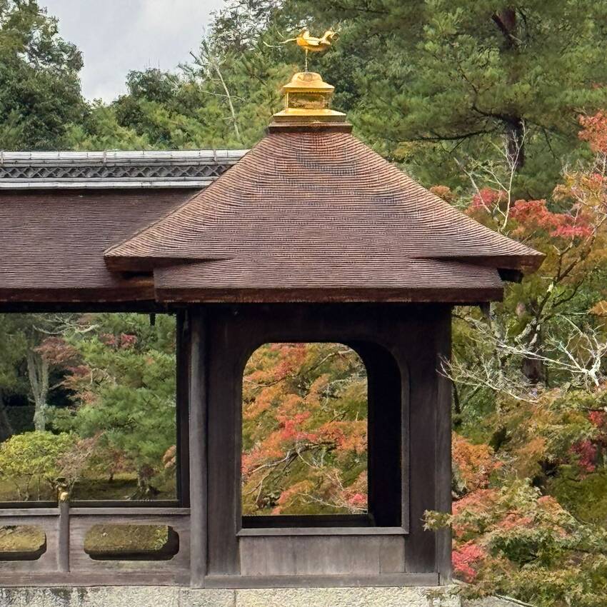 修学院離宮 2025