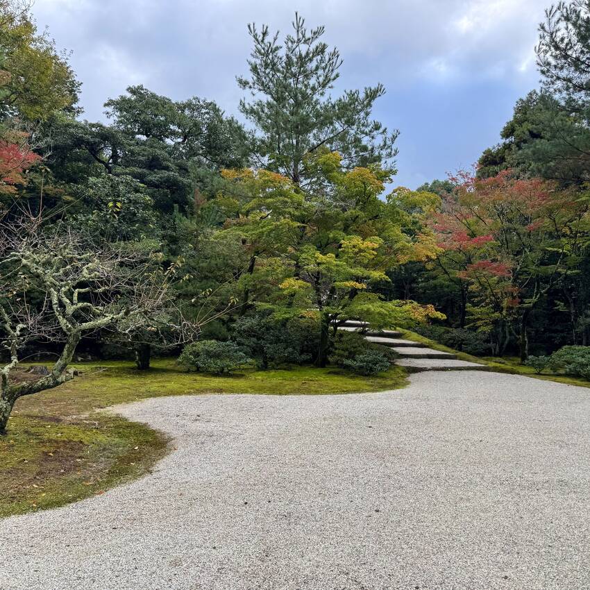 修学院離宮 2025