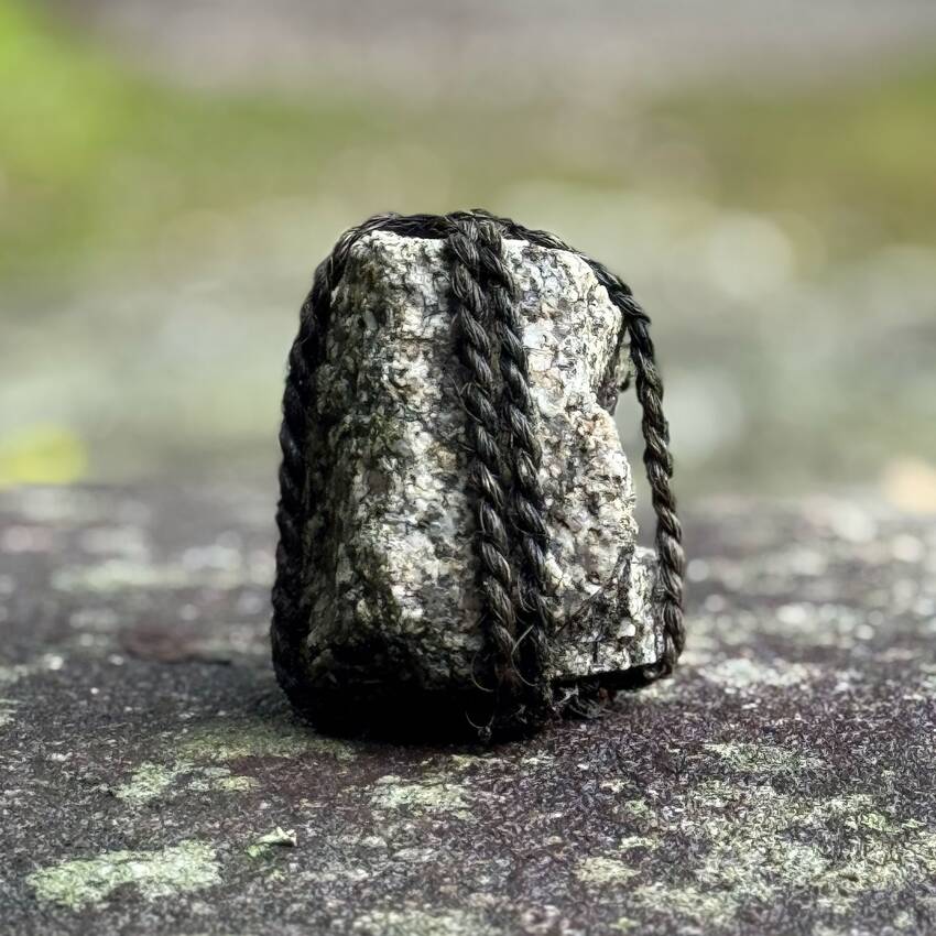 修学院離宮 2025