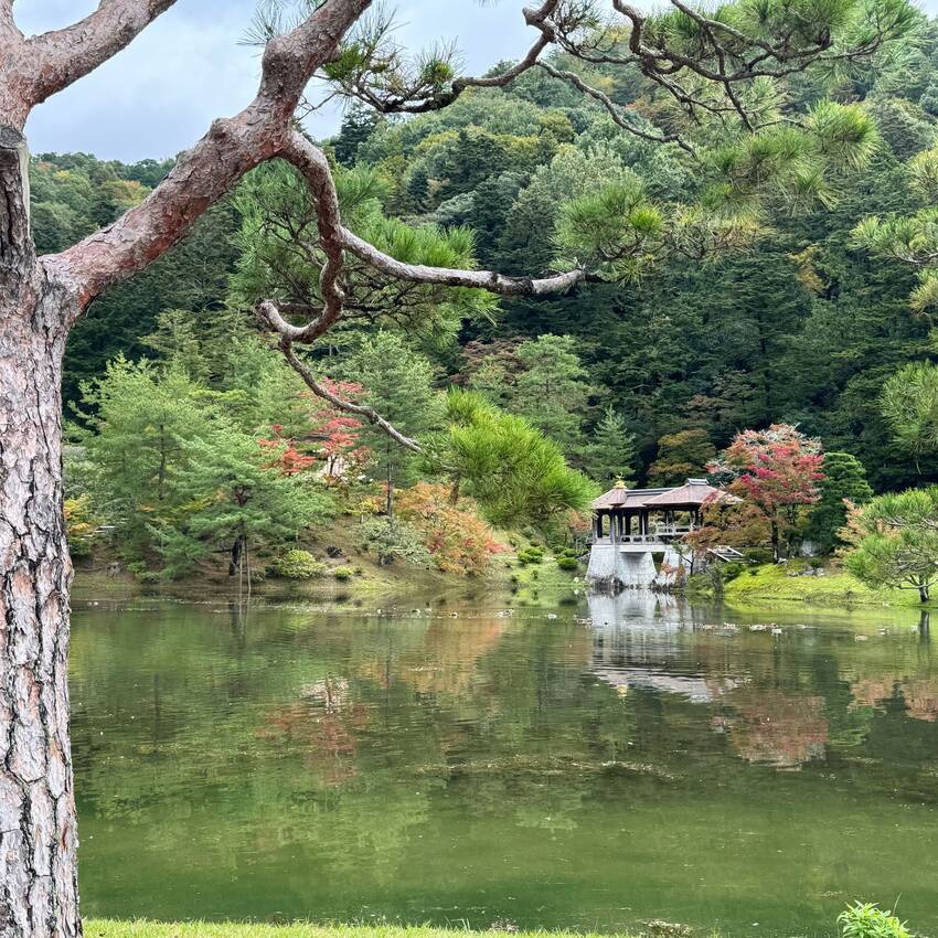 修学院離宮 2025