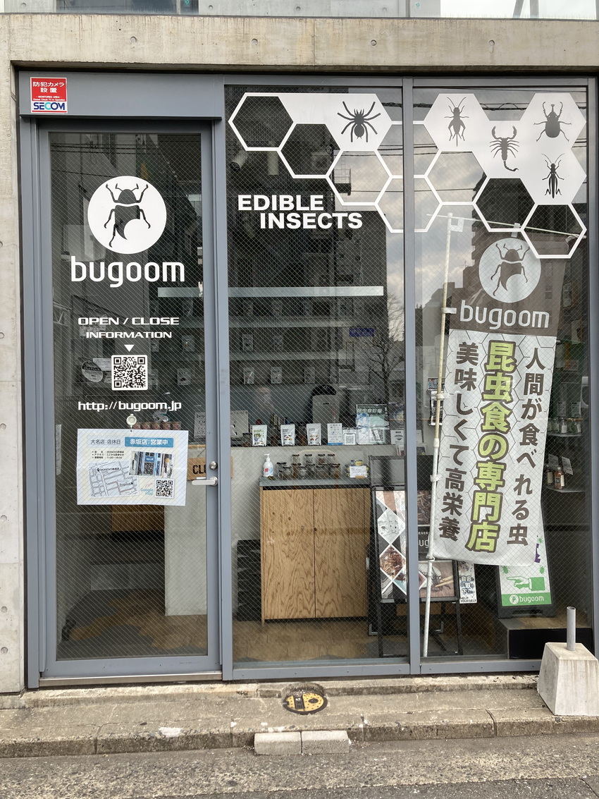 昆虫食ストアin福岡市...