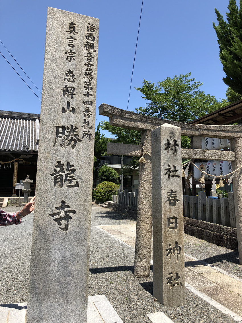 ハイキングの最終目的地はビール...