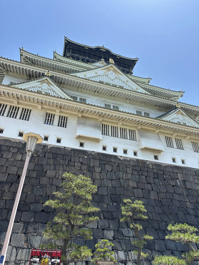 この角度は先生のお勧め❣️