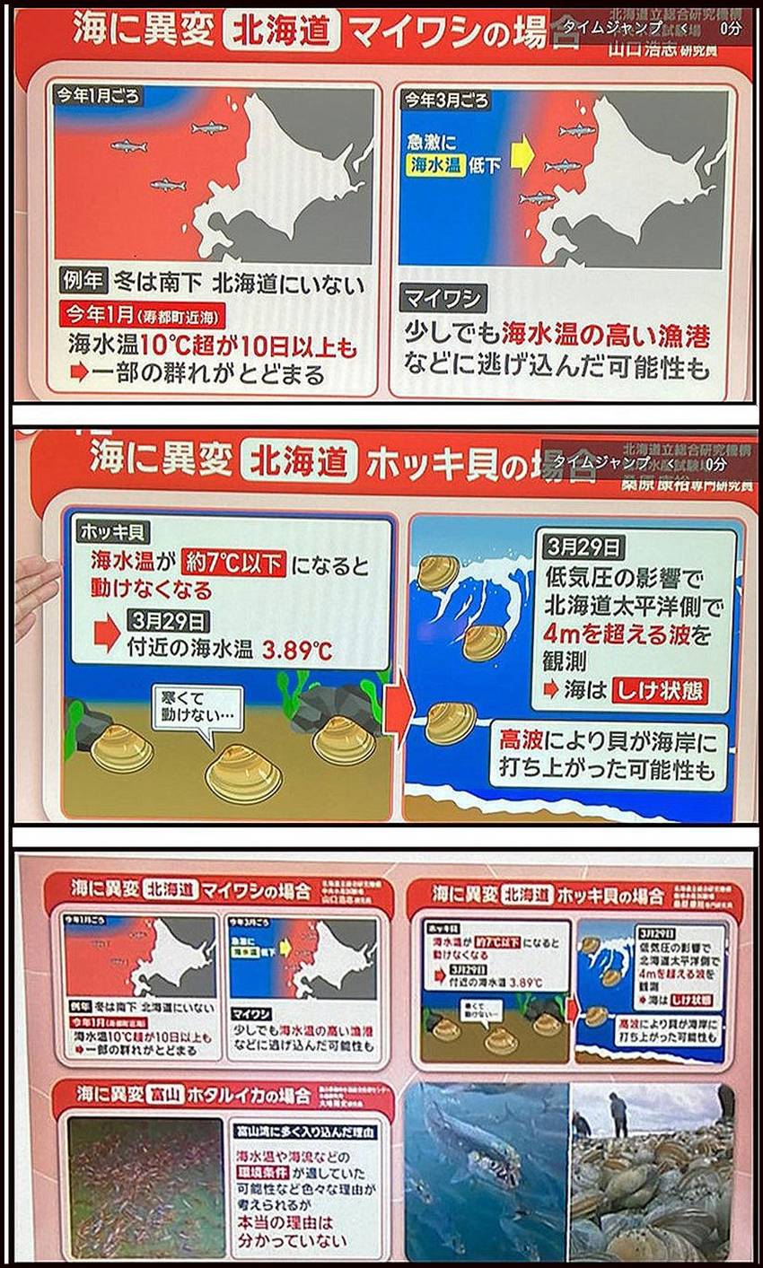 関連https://jp.b...