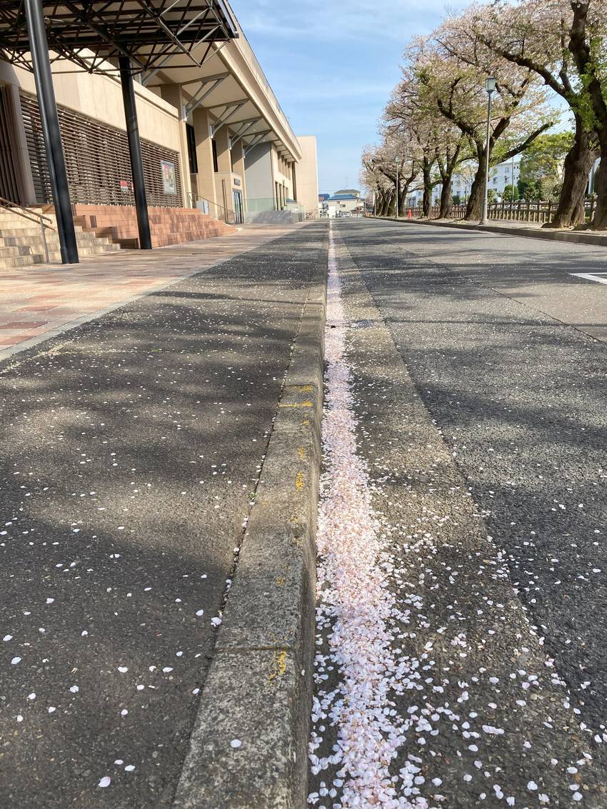 私の一枚 4月13日(土) 春...