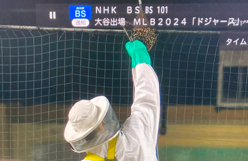 ちなみに大谷君チャンス打てませ...