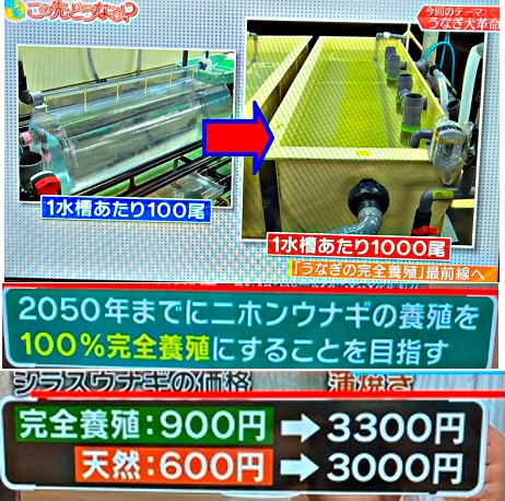 そこで関口弘さんの解説で「うな...