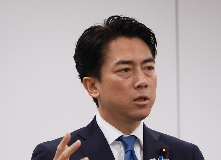 日刊スポーツの記事です。小泉進次郎農相、靖国神社参拝継続の有...