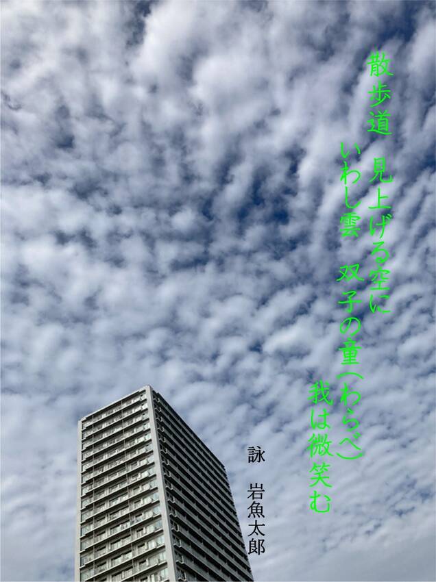 散歩に出ました。空を見上げると...