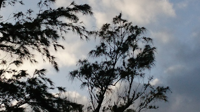 風向きが正面(東風) から南風になりリフトが無くなって来た。...