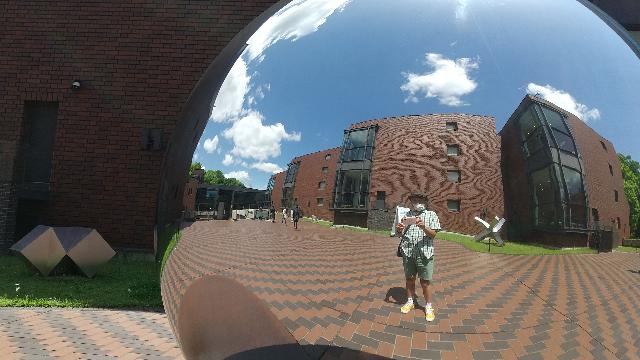 こちらは何時もの東京都立美術館...