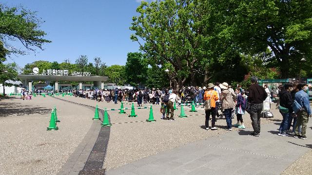 昼少し前、上野動物園はコロナ対...