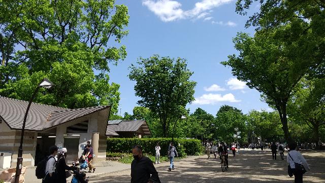 絵画を観ると疲れる!ふ~ぅ。美...