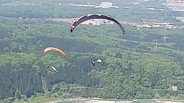 こどもの日健やかな成長を願って...