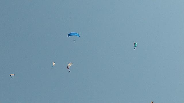 この人達も、飛んじゃいるけど、...