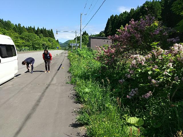 なになに!何をしているの?・・...