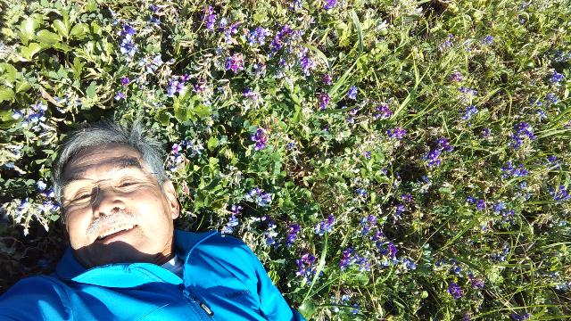 浜エンドに囲まれて、オフィーリ...