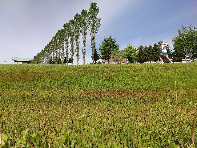 お世話になります=留寿都村...