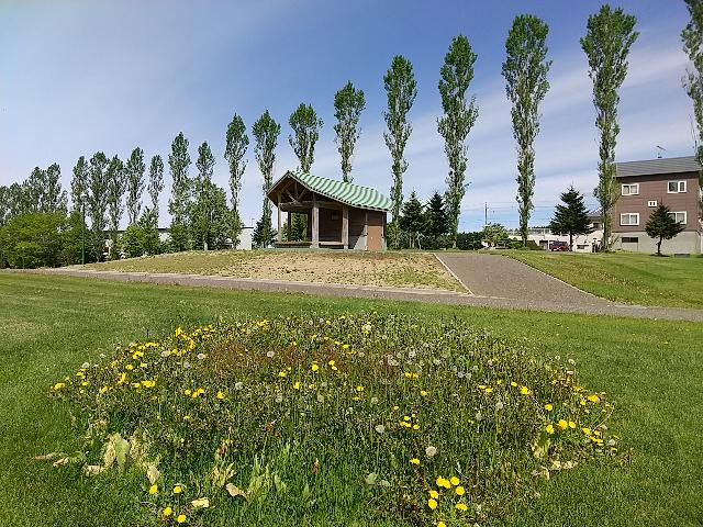 お世話になります=留寿都村...