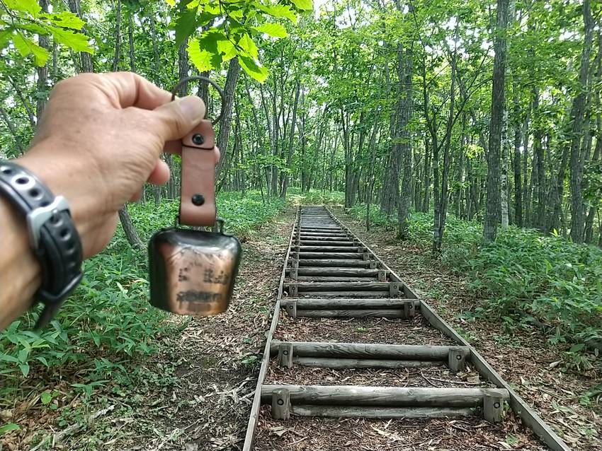 復元住居に行きます。と言ったら...