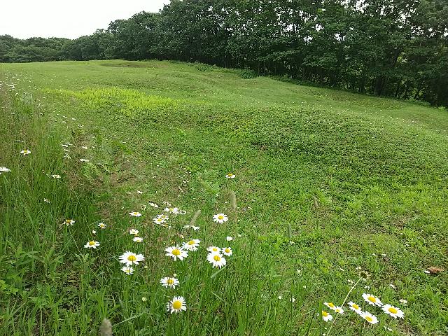 わずかに凹んだヵ所が住居跡。当...