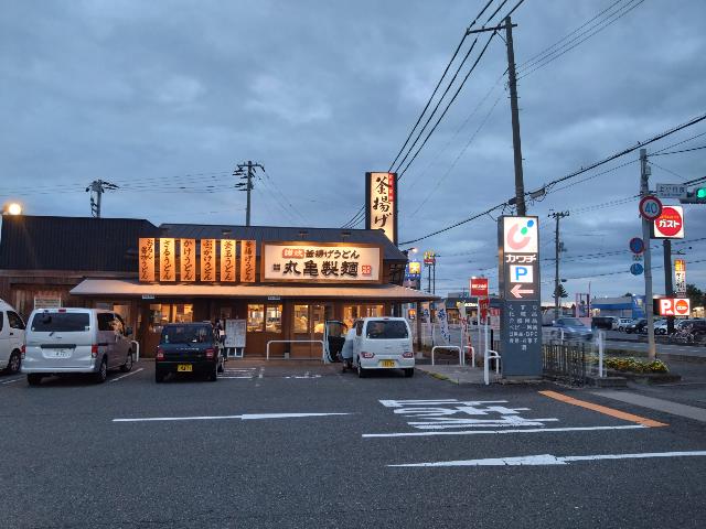 晩御飯はこれ。