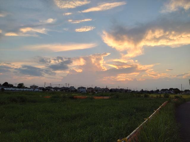 日没の太陽は生憎、見られない。...