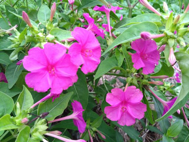 今朝は負けなかった