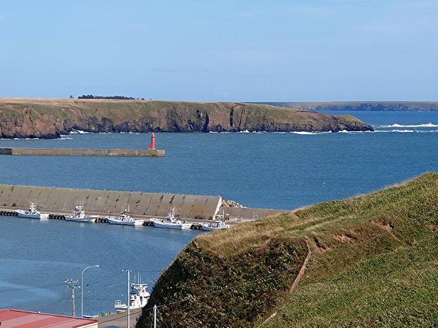 望遠で引っ張ってみた。...