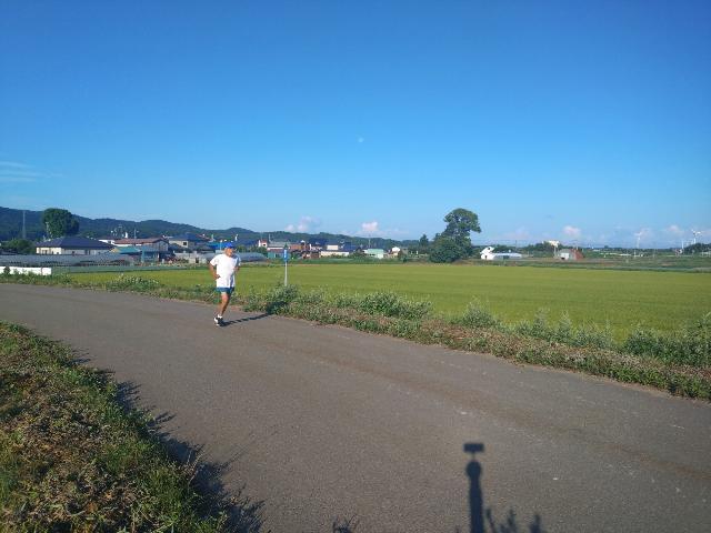 厚沢部の小豆畑。