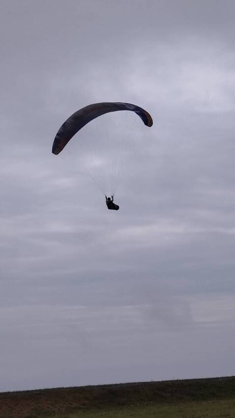 ノーマル機(BGD社のライオッ...