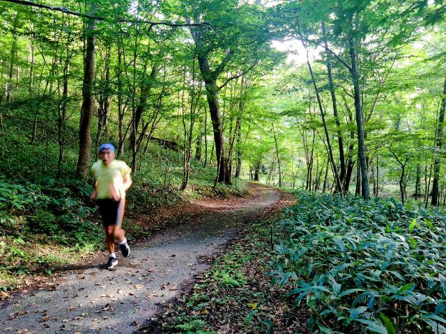 ウポポイり接してあるポロト湖一...