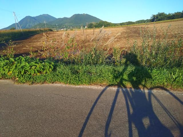 倶知安からルスツに戻り、大至急...