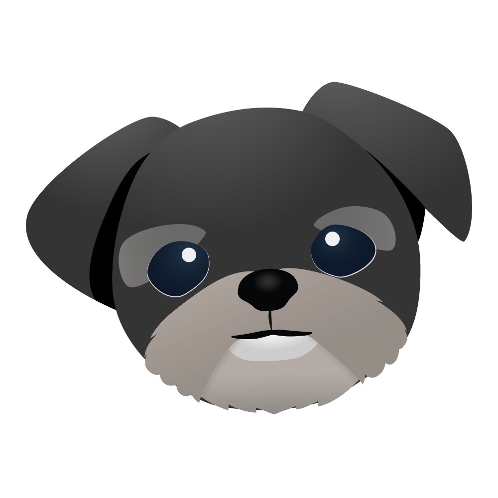 buddy