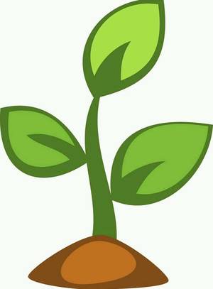 HerbSprout.com Avatar