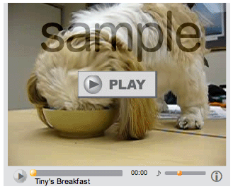 Video Streaming...