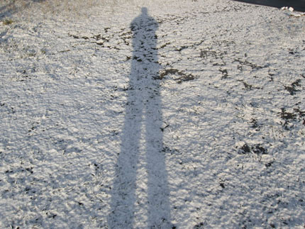 今日は予報通りに雪が降りました...