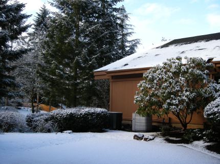 また雪が積もった