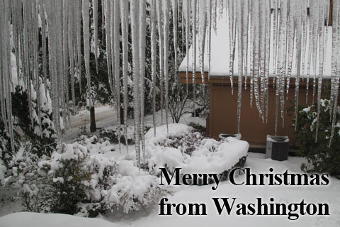 メリークリスマス！